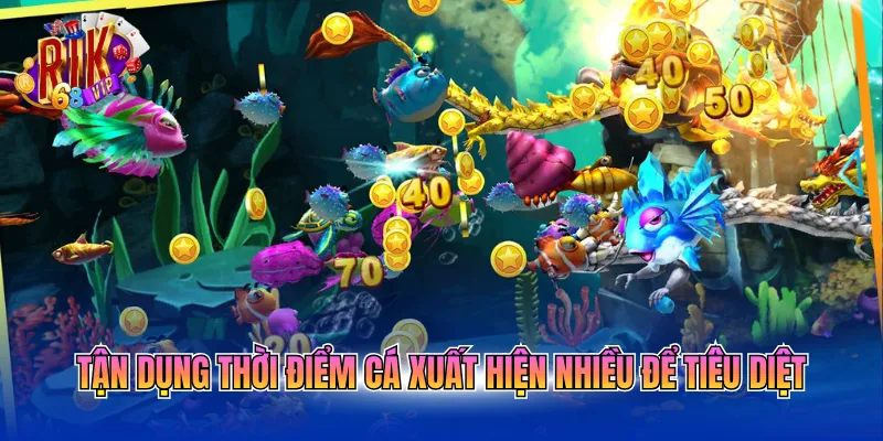 Tận dụng thời điểm cá xuất hiện nhiều để tiêu diệt